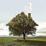 30174_129461303733789_121259324553987_332168_3153658_n